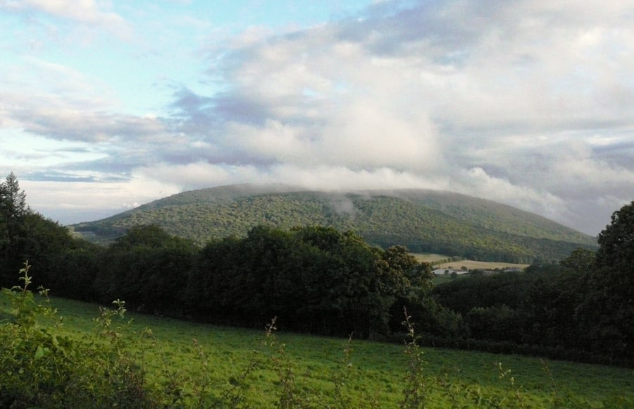 Le mont Beuvray, une montagne occupée par un oppidum gaulois et recouverte par une forêt