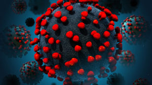 Premières leçons de l’épidémie de Conoravirus 19