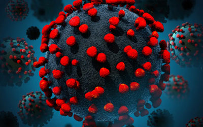 Premières leçons de l’épidémie de Coronavirus 19