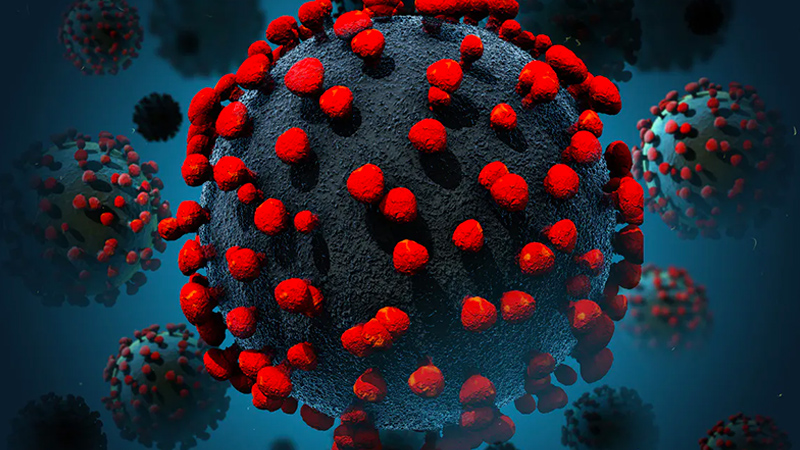 Premières leçons de l’épidémie de Coronavirus 19