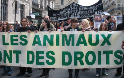 Les droits des animaux