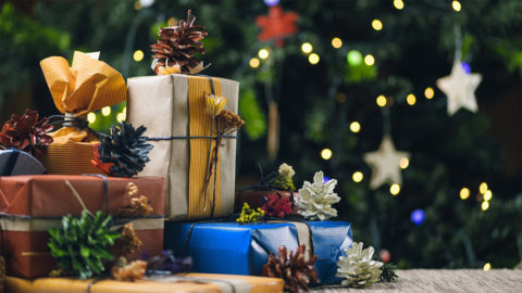 Des idées de cadeaux enracinés pour Noël !