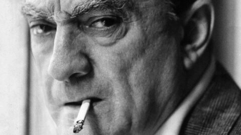 Luchino Visconti, portrait du dernier Guépard