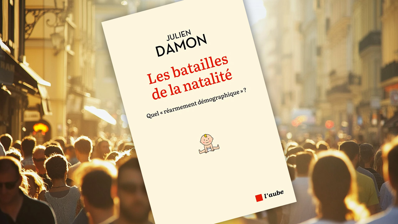 Les batailles de la natalité, de Julien Damon
