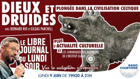 Dieux et druides : plongée dans la civilisation celtique