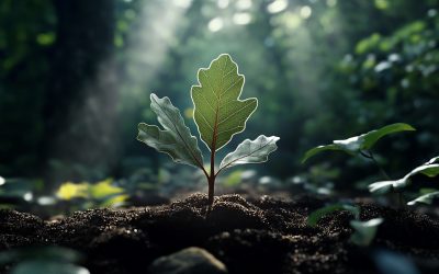 L&rsquo;écologie, une troisième voie pour un renouveau de la droite européenne