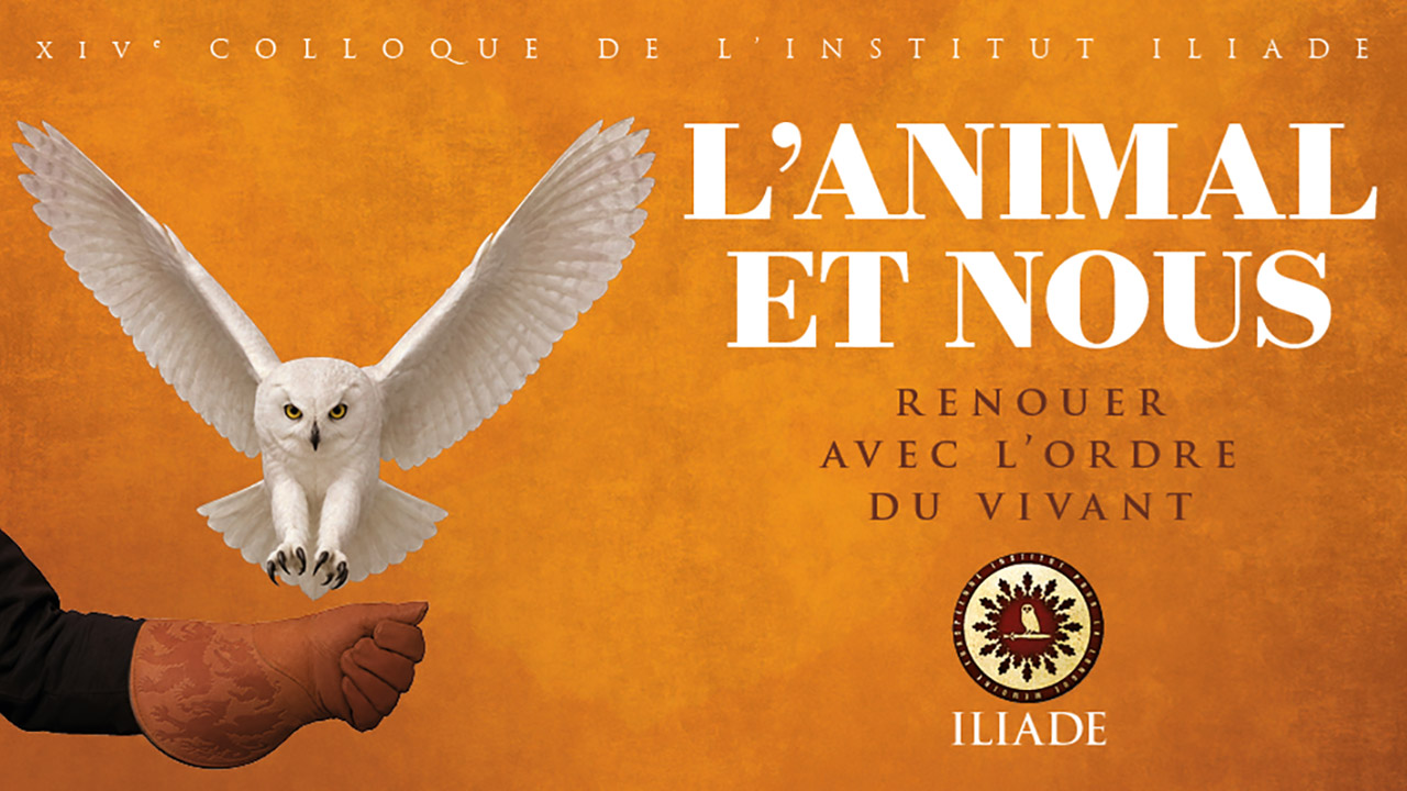 Colloque 2027 : L’animal et nous. Renouer avec l’ordre du vivant